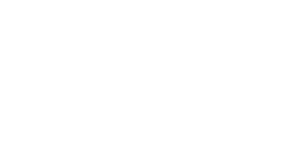Icône du site