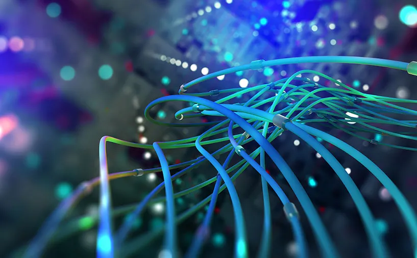 Câbles de fibre optique illustrant la connectivité numérique et les métiers liés aux infrastructures numériques.