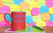 Le kit de préparation aux Delf et TCF-IRN mis à jour