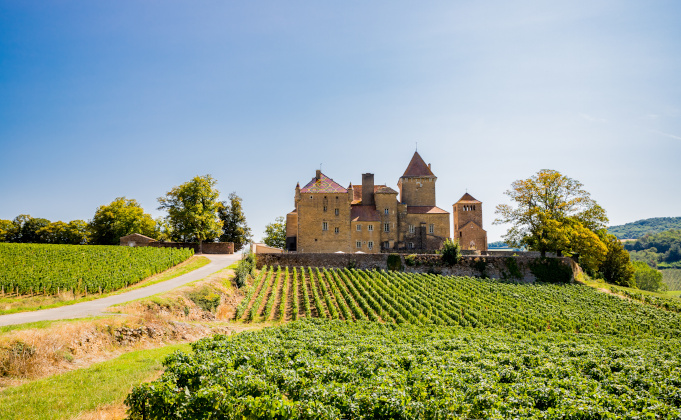 NAVI : un programme régional pour moderniser la filière vitivinicole