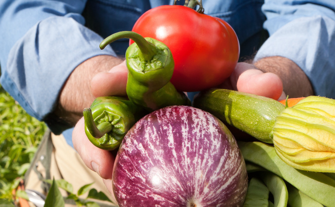Former pour une alimentation plus saine et durable