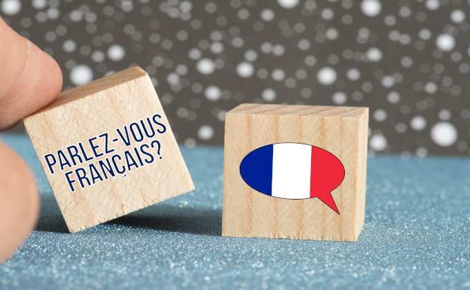 FLE-DNL : une consultation pour une nouvelle modalité