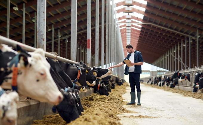 Une feuille de route pour l’agriculture