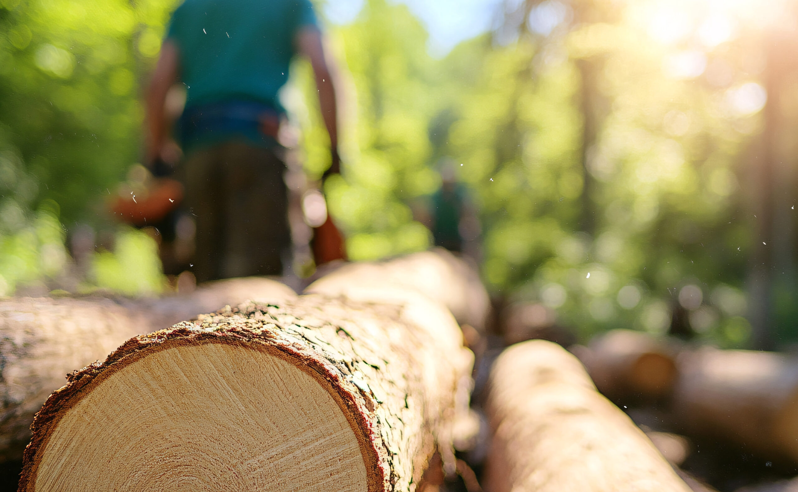 Faire de l’emploi, un droit