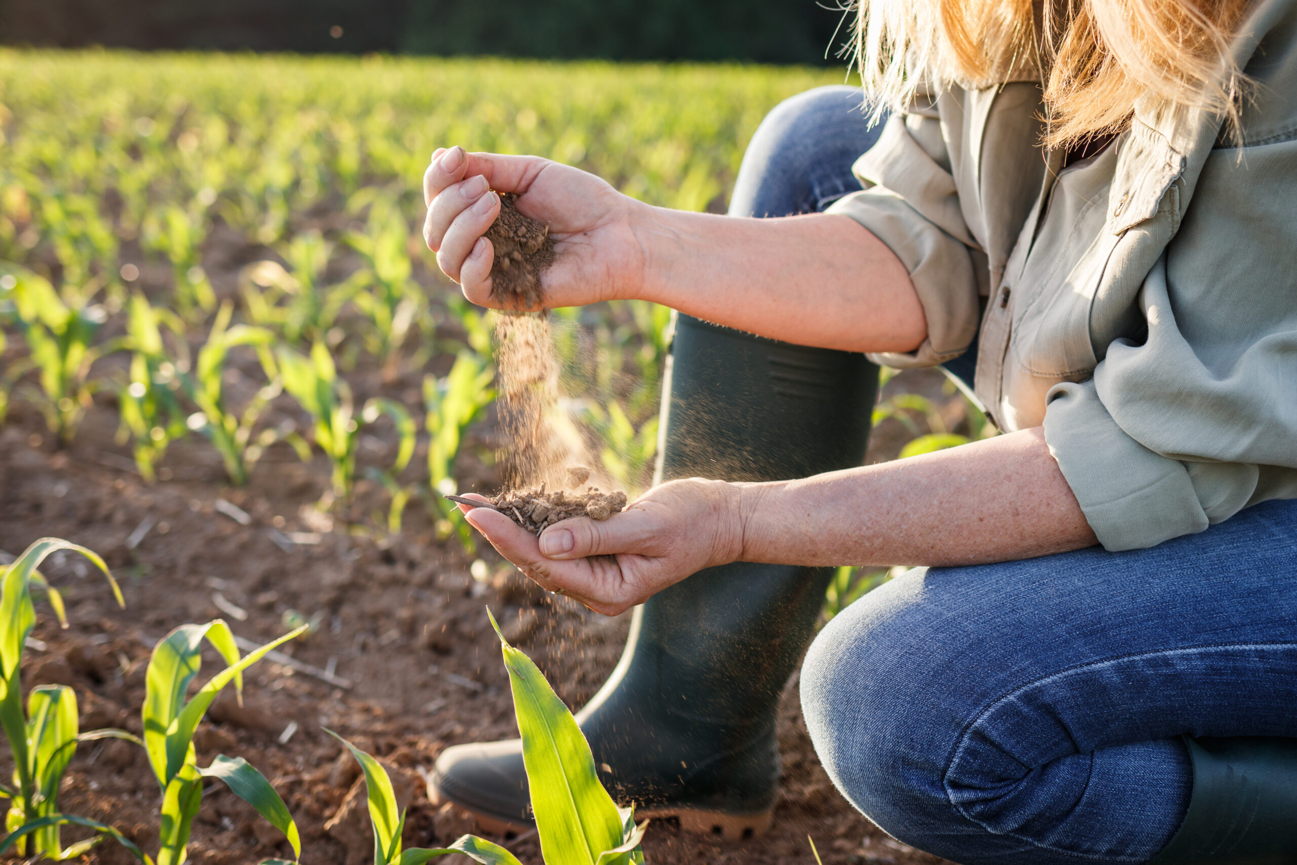 Agriculteur dans son champ