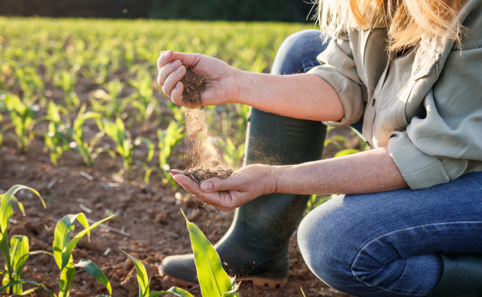 Portrait 2026 de l’enseignement agricole