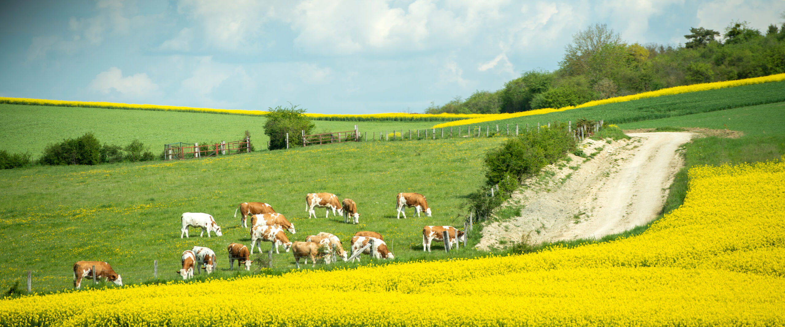Un contrat régional de filière (CRF) relatif aux métiers de la production agricole et des aménagements paysagers a été adopté fin 2023.